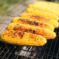 braai_corn_paint